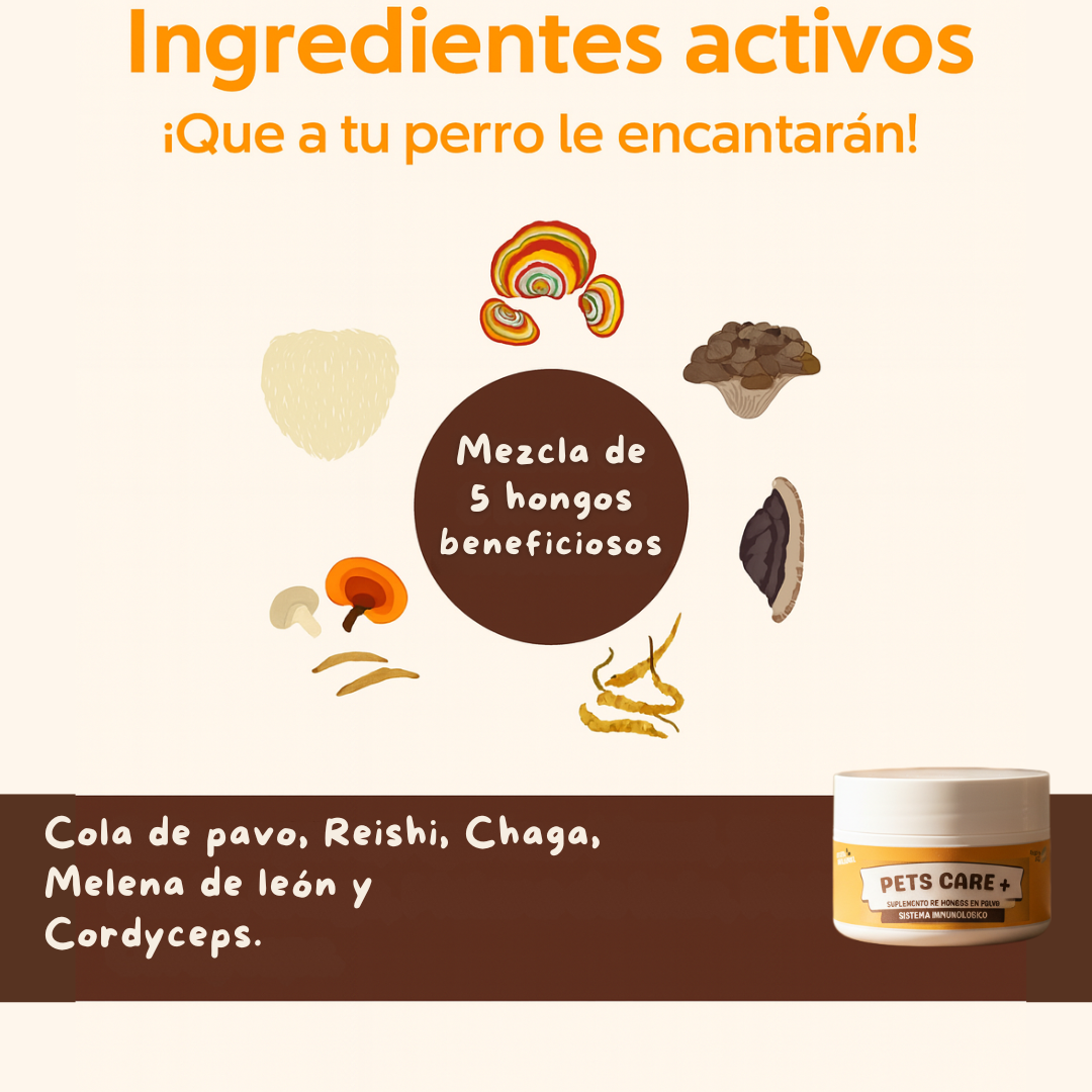 Pets Care+ - 🌟 La tranquilidad de verlo sano, feliz y protegido “en 30 días”