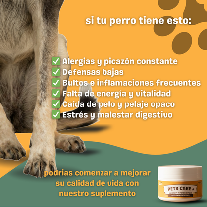 Pets Care+ - 🌟 La tranquilidad de verlo sano, feliz y protegido “en 30 días”