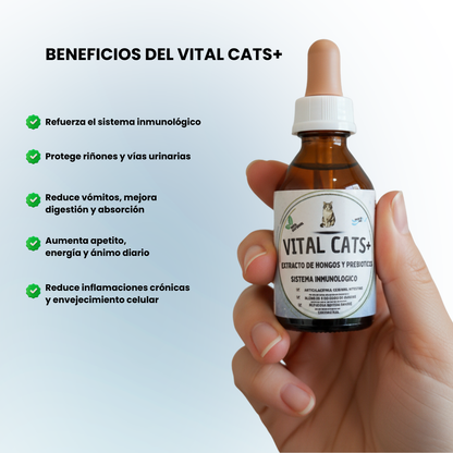 Vital Cats - Inmunidad, digestión y vitalidad en un solo producto