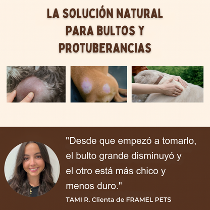 Pets Care+ - 🌟 La tranquilidad de verlo sano, feliz y protegido “en 30 días”