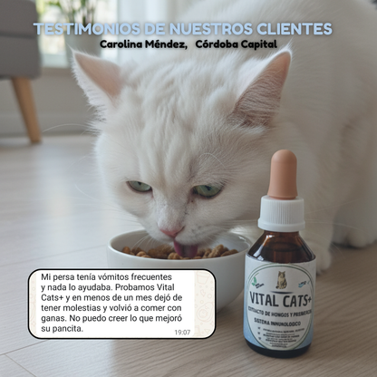 Vital Cats - Inmunidad, digestión y vitalidad en un solo producto