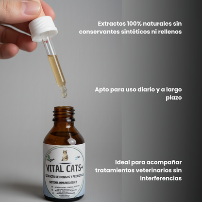 Vital Cats - Inmunidad, digestión y vitalidad en un solo producto