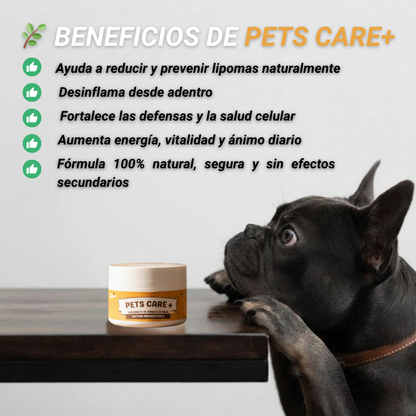 Pets Care+ - 🌟 La tranquilidad de verlo sano, feliz y protegido “en 30 días”