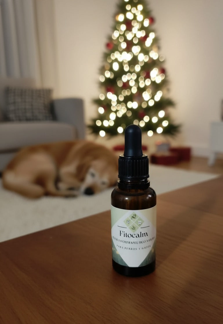 FitoCalm-El alivio que tu perro necesita en las fiestas.